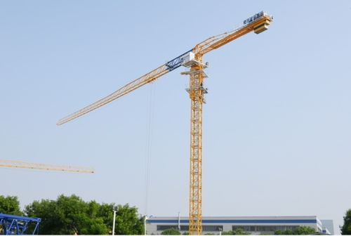 陕建机 stc600a 塔式起重机图片